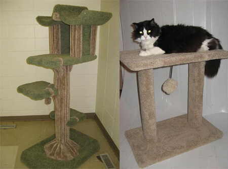 CATMAN Furniture will be selling items like these at the Edmonton International Cat Festival! 
