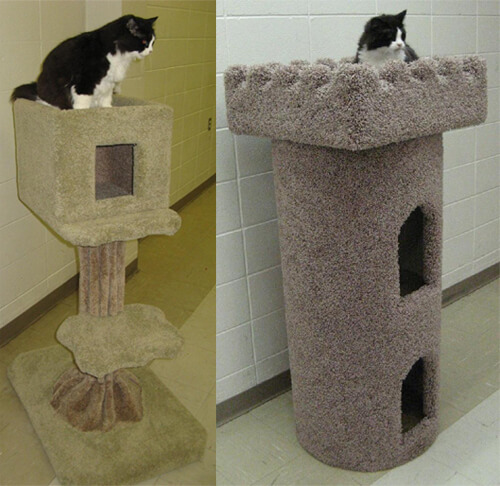 CATMAN Furniture will be selling items like these at the Edmonton International Cat Festival! 