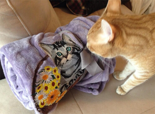 Loki the Cat checking out MikaSu Designs - cat blanket. 