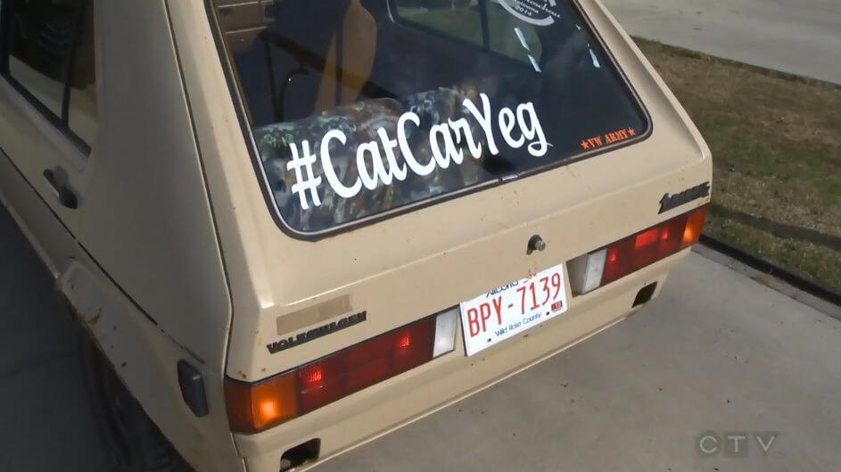Cat Car YEG - Cat Fest 2