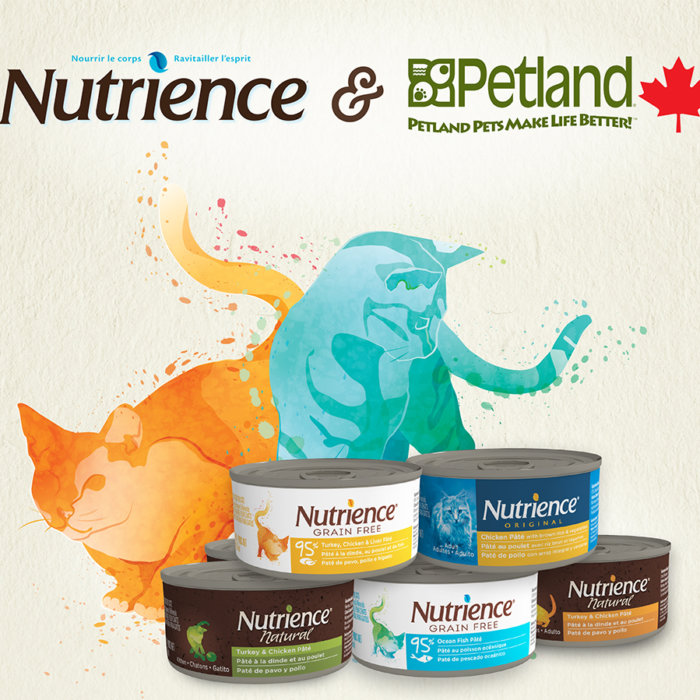 Petland Nutrience Blog