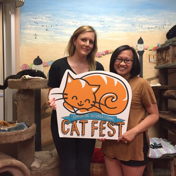 Cat Festival