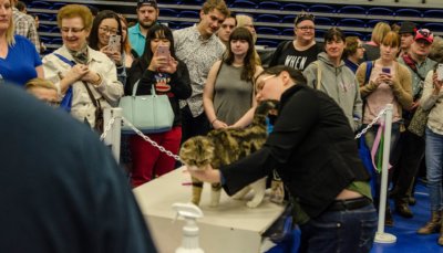 2016 Edmonton International Cat Festival 4