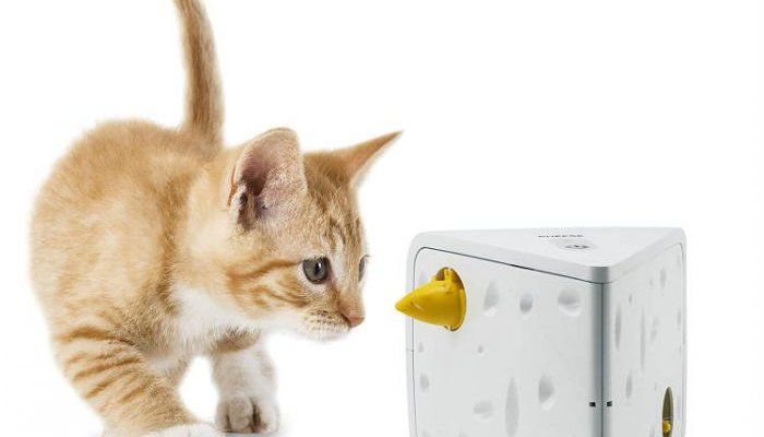 petsafe cheese teaser cat toy