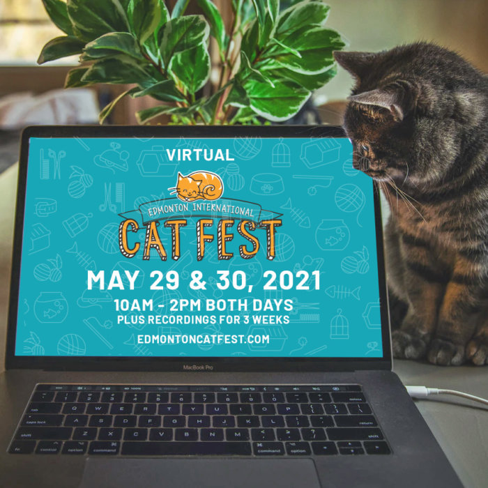 2021 Cat Computer Promo Teal