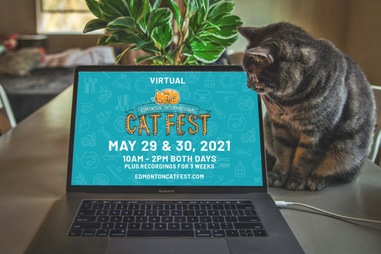 2021 Cat Computer Promo Teal