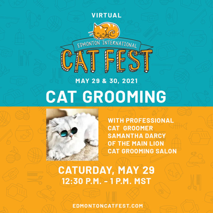 2021 Cat Fest Schedule Cat Grooming