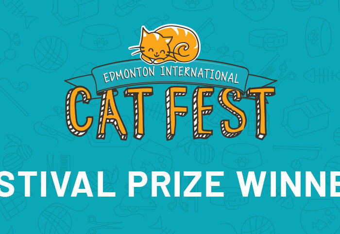 2021 Cat Fest prize winners