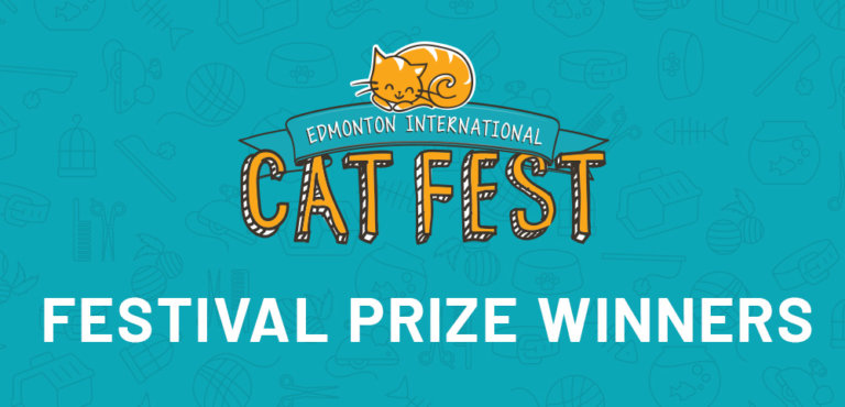 2021 Cat Fest prize winners