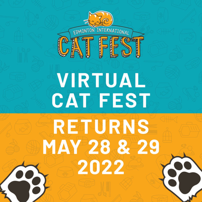Virtual Cat Fest 2022