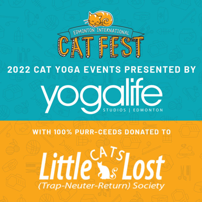 2022 Cat Festival Donation Recipient Yogalife Little Cats Lost