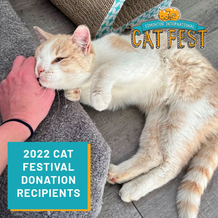 2022 Cat Festival Donation Recipients