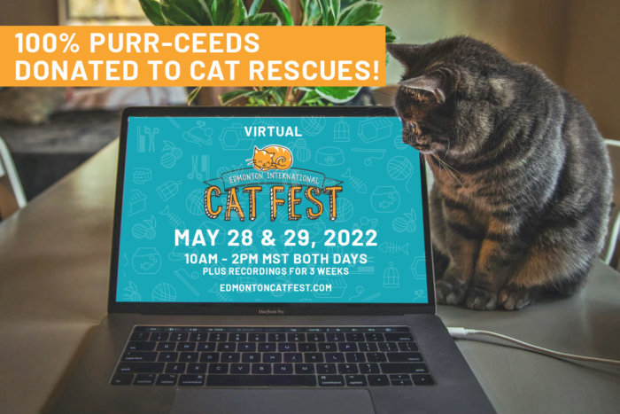 Virtual Edmonton Cat Festival 2022 Promo Cover Image
