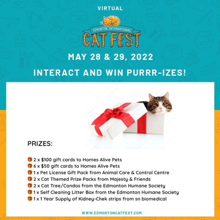 2022 Cat Festival Prizes