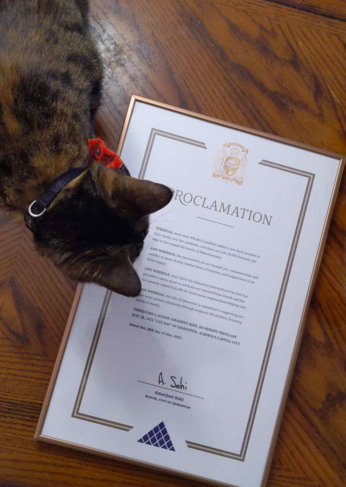 5 28 2022 Edmonton Cat Day Proclamation 3