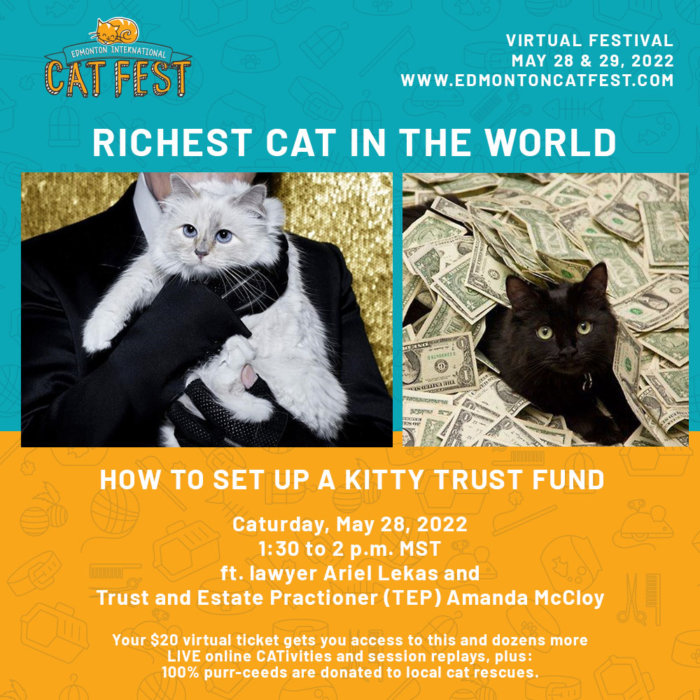 Cat Festival Trust Fund Kitties Rich Cats