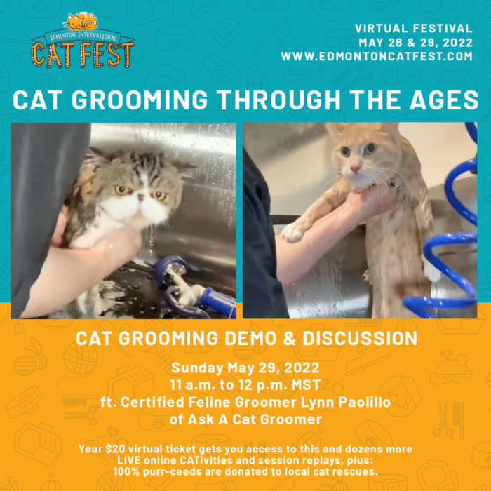 Edmonton Cat Festival Ask a Groomer Cat Grooming 9