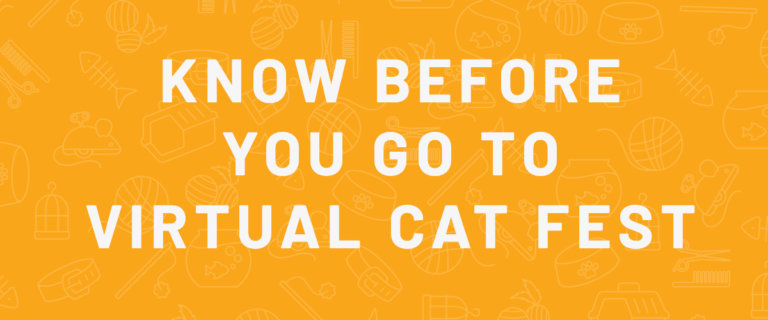 Know before you go to virtual cat fest 2022