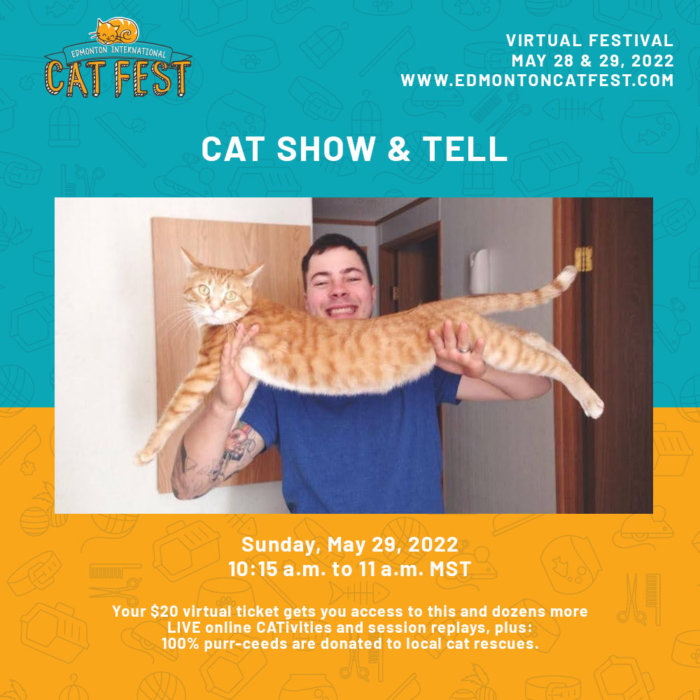 Presentation Cat Show Tell