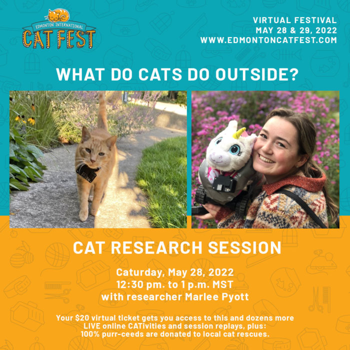 Presentation Cats Outside Research