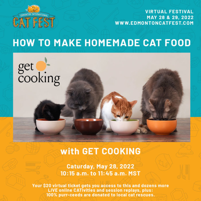 Presentation How to Make Homemade Cat Food Get Cooking