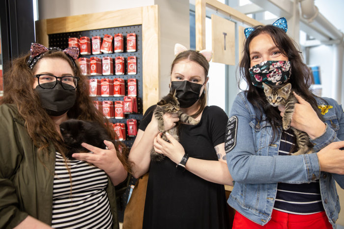 Edmonton Cat Festival 2022 Donation for Community Cats Edmonton Rescue 2