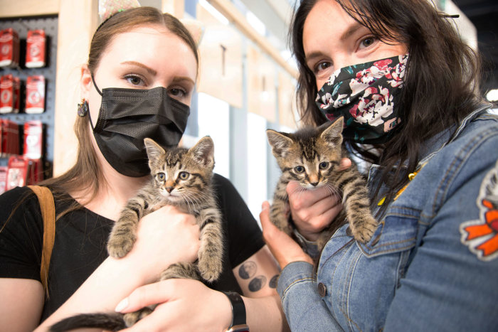 Edmonton Cat Festival 2022 Donation for Community Cats Edmonton Rescue 5