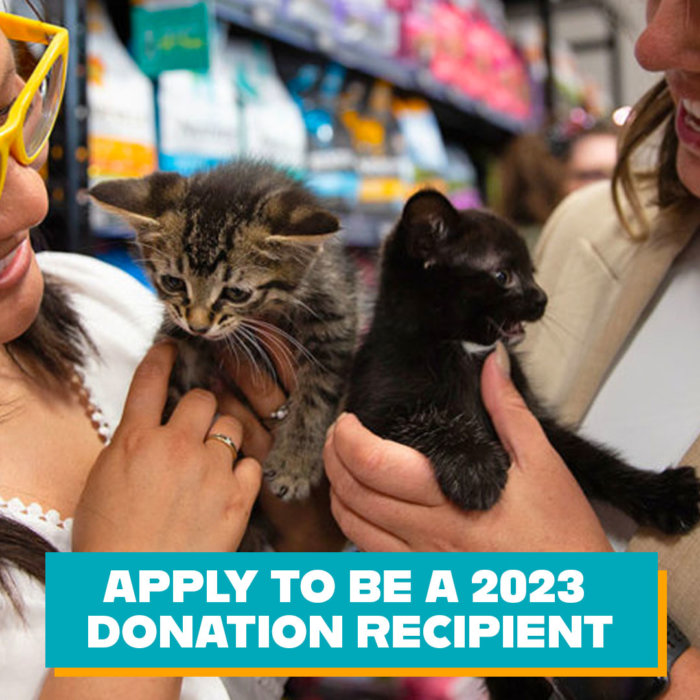 2023 Edmonton Cat Festival Donation Recipient