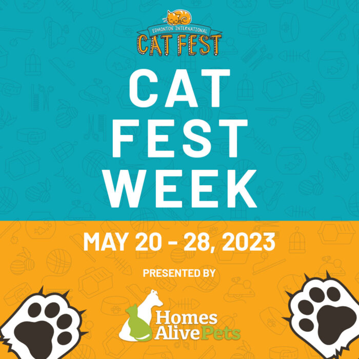2023 Cat Fest Week