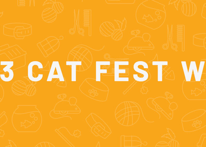 Cat Fest Week Header Announcement