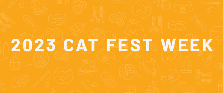 Cat Fest Week Header Announcement