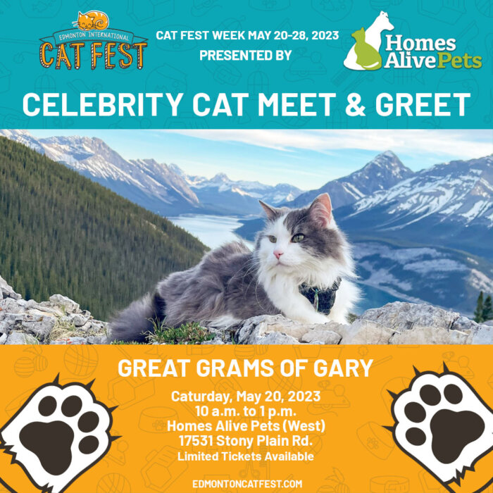 2023 Cat Fest Great Grams of Gary 2