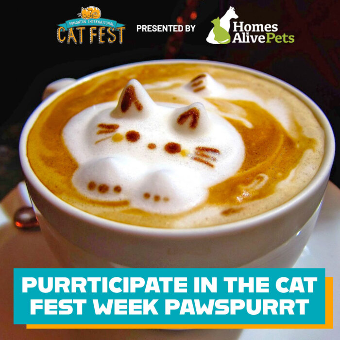 Cat Fest Week Pawspurrt