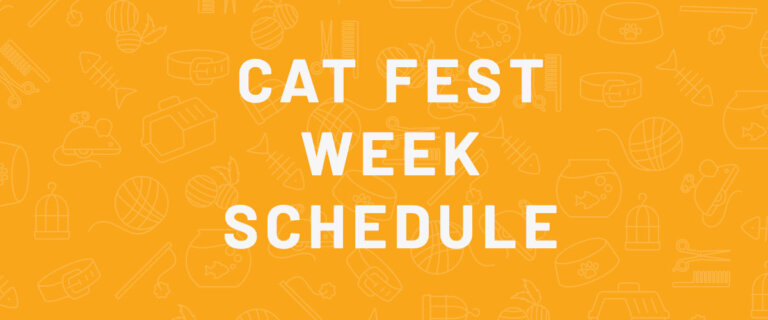 Cat Fest Week Schedule Banner