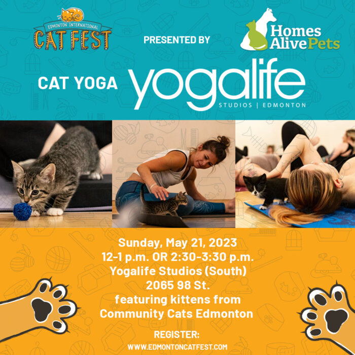 Cat Fest Cat Yoga UPDATED Graphic