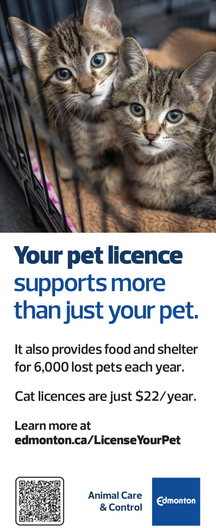 Pet Licensing Animal Care Control