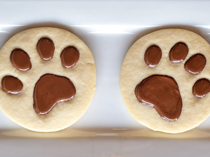PhatBar Bakery Cat Paw Cookies
