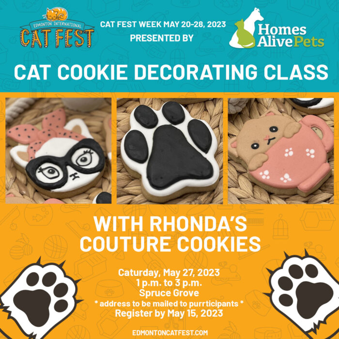 Rhondas Couture Cookies Edmonton Cat Fest Week Cat Cookie Decorating Class 6