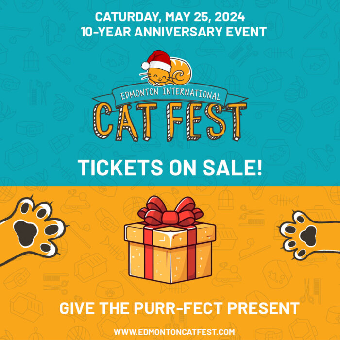 Purr fect Present 2024 Cat Festival