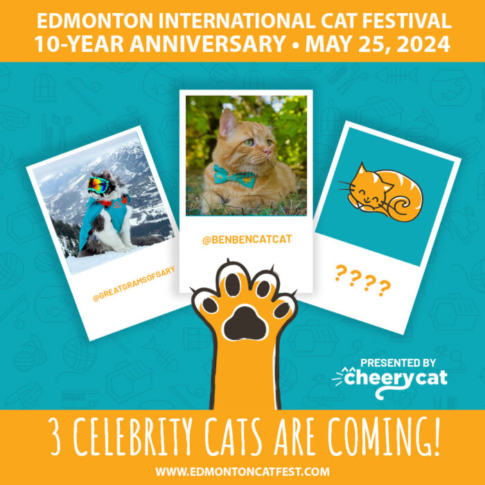 BenBen CatCat Edmonton Cat Festival Celebrity Cats Presented by Cheery Cat Co
