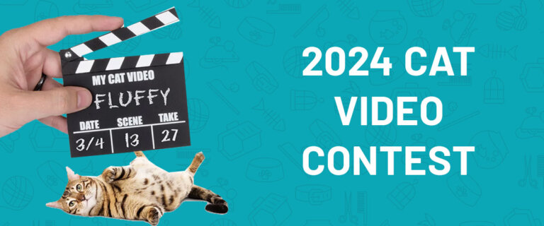 Cat Video Contest Banner