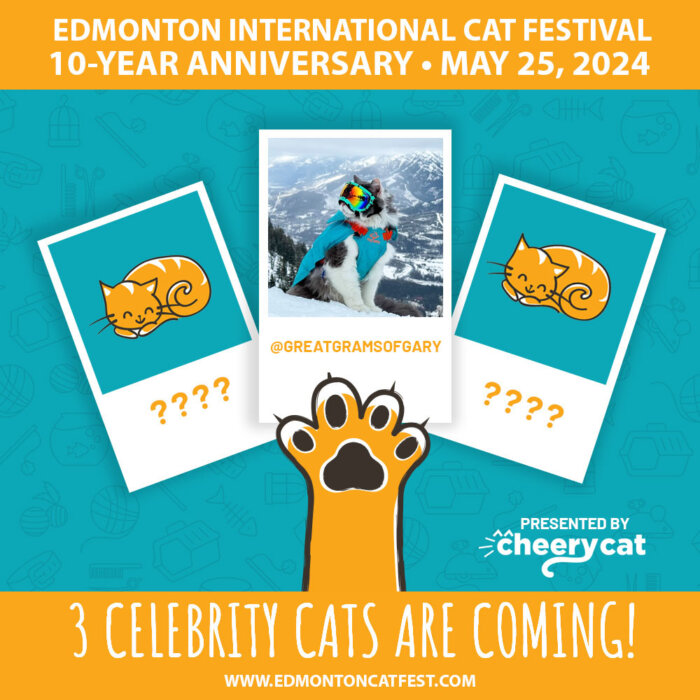 Celebrity Cat Guest Edmonton Cat Festival May 25 2024 Great Grams of Gary 0