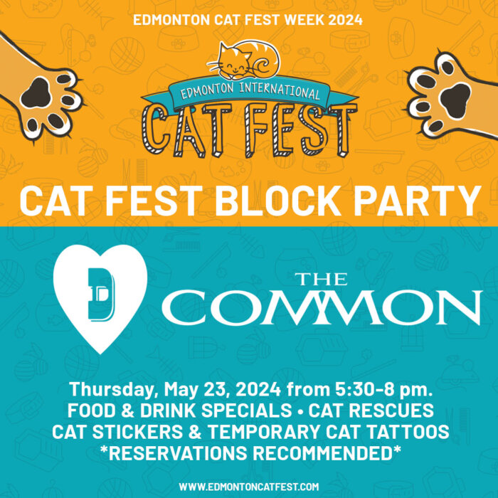 Cat Fest Block Party