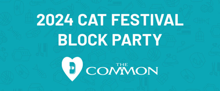Cat Fest Block Party Banner